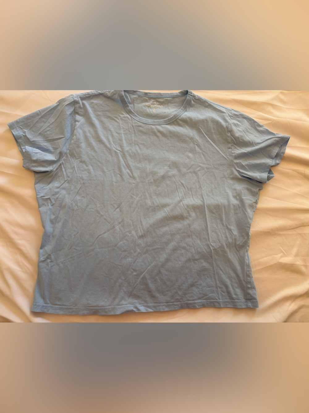 Abercrombie & Fitch Women's Soft Crew Tee in Pale Blue